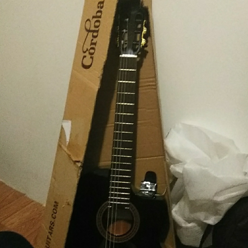 Guitar